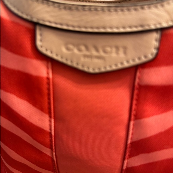 Coach Zebra - Picture 2 of 12